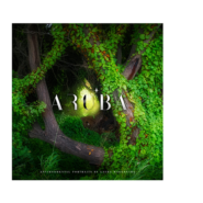 30+ARUBA