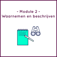 Module 2 - Waarnemen en beschrijven