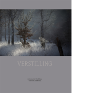 Verstilling
