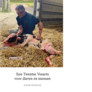 Twentse Veearts
