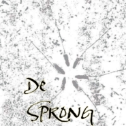 De sprong